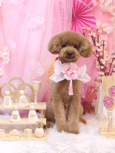 20250330まめくん